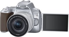 Цифровой фотоаппарат Canon EOS 250D 18-55IS STM (серебристый)