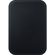 Портативная умная колонка Bluesound PULSE FLEX 2i black