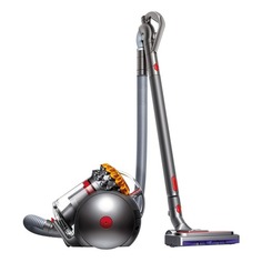 Пылесосы Пылесос DYSON Big Ball Allergy 2 (CY28), 600Вт, серый/никель