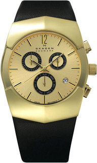 Мужские часы в коллекции Black Label Мужские часы Skagen 581XLGLB-ucenka