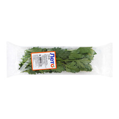 Петрушка Лето 50 г лоток Leto