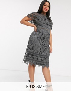 Темно-серое кружевное платье-футляр миди Chi Chi London Plus-Серый