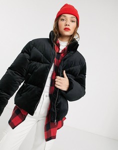 Бархатная дутая куртка Tommy Jeans-Черный