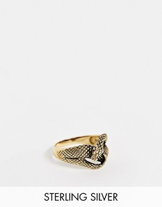 Серебряное кольцо в виде змеи с позолотой 14 карат ASOS DESIGN-Золотистый