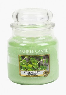 Свеча ароматическая Yankee Candle средняя в стеклянной банке Дикая мята Wild Mint 411 гр / 65-90 часов