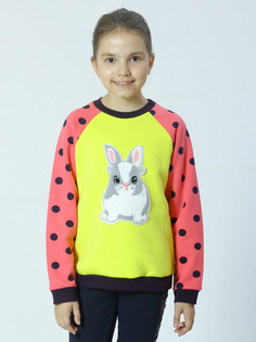 Свитшот Nota Bene