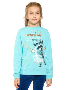 Толстовка Pelican