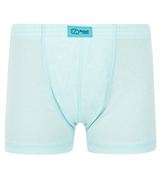 Трусы-боксеры Белый Слон, цвет: голубой