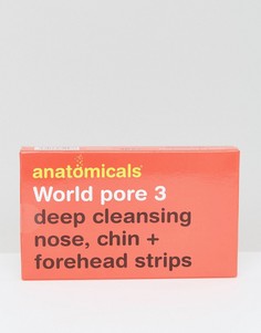 Anatomicals World Pore 3 - Очищающие полоски для носа, подбородка и лба-Бесцветный