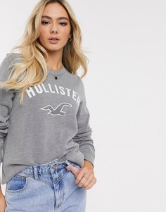 Свитшот с логотипом Hollister-Серый