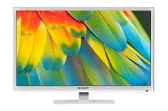 Телевизор Sharp LC-24CHF4012EW (белый)
