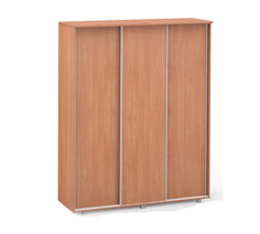 Шкаф-купе Бригида 5 Фиеста Эко