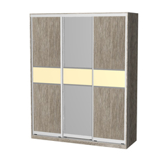 Шкаф-купе Власта 3 Фиеста Эко