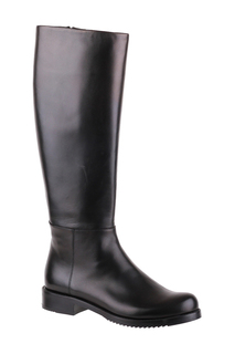 Сапоги Loriblu