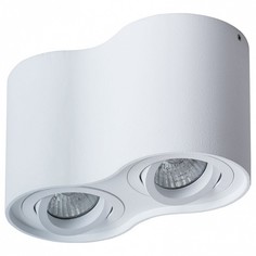 Накладной светильник Falcon A5645PL-2WH Arte Lamp