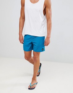 Шорты ONeill Vert-Синий Oneill