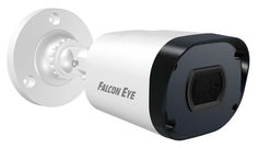 Видеокамера Falcon Eye FE-IPC-B2-30p (белый)