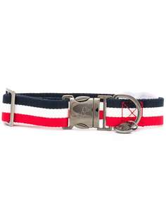 Moncler x Poldo собачий ошейник из коллаборации с Poldo