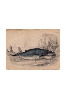 Старинная гравюра с китом Декоративная жесть