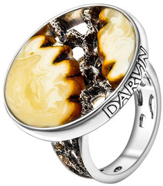 Серебряные кольца Darvin