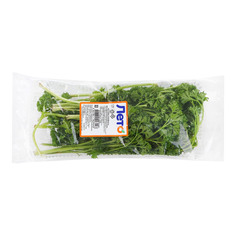 Петрушка кудрявая Лето 50 г Leto