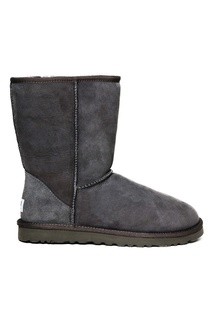 Замшевые сапоги UGG Classic Short