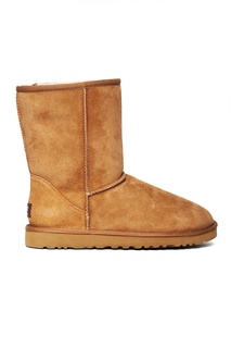 Замшевые сапоги UGG Classic Short