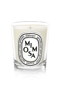 Свеча из парфюмированного воска Mimosa Diptyque
