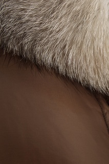 Бежевый пуховик Escallonia Moncler