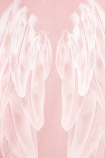 Розовый свитшот с принтом «Крылья» на спине Manouk
