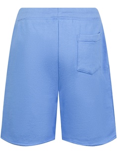 Голубые шорты с вышивкой Polo Ralph Lauren Kids