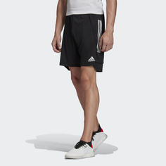 Тренировочные шорты Condivo 20 adidas Performance