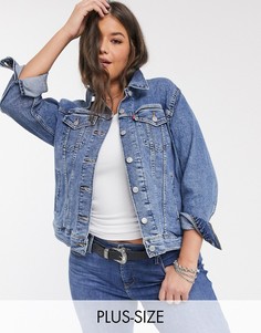 Куртка Levis Plus-Синий