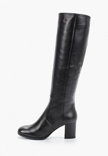 Сапоги Enzo Logana 