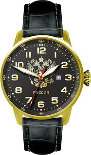 Мужские часы в коллекции Профессионал Мужские часы Спецназ C2879336-2115-05