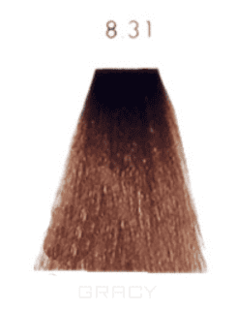 Hair Company, Крем-краска для волос Inimitable Color Coloring Cream профессиональная, 100 мл (палитра 80 цветов) 8.31 Светло-русый глазированный каштан