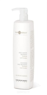 Domix, Моющая основа Double Action Cleansing Base Treatment, 1000 мл Hair Company