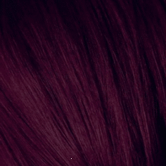 Schwarzkopf Professional, Краска для седых волос Igora Royal Absolutes Игора Роял Абсолют (палитра 24 цвета), 60 мл 4-90 Средний коричневый фиолетовый натуральный