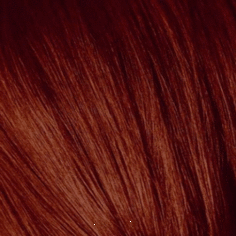 Schwarzkopf Professional, Игора Роял Краска для волос Igora Royal Шварцкопф (палитра 98 цветов), 60 мл