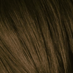 Schwarzkopf Professional, Краска для седых волос Igora Royal Absolutes Игора Роял Абсолют (палитра 24 цвета), 60 мл 5-60 Светлый коричневый шоколадный натуральный