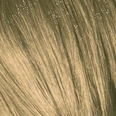 Schwarzkopf Professional, Краска для седых волос Igora Royal Absolutes Игора Роял Абсолют (палитра 24 цвета), 60 мл 9-40 Блондин бежевый натуральный