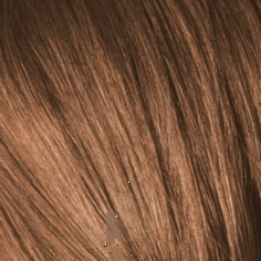 Schwarzkopf Professional, Краска для седых волос Igora Royal Absolutes Игора Роял Абсолют (палитра 24 цвета), 60 мл 7-60 Средний русый шоколадный натуральный