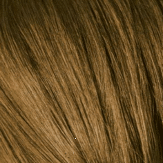 Schwarzkopf Professional, Краска для седых волос Igora Royal Absolutes Игора Роял Абсолют (палитра 24 цвета), 60 мл 8-50 Светлый русый золотистый натуральный