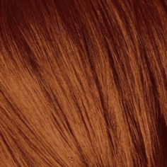 Schwarzkopf Professional, Краска для седых волос Igora Royal Absolutes Игора Роял Абсолют (палитра 24 цвета), 60 мл 7-70 Средний русый медный натуральный