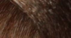 Domix, Масло для окрашивания волос Olio Colorante Констант Делайт (палитра 56 цветов), 50 мл 8.0 светло-русый Constant Delight