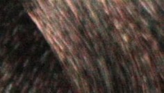 Domix, Масло для окрашивания волос Olio Colorante Констант Делайт (палитра 56 цветов), 50 мл 4.0 каштановый Constant Delight