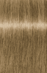 Schwarzkopf Professional, Краска для седых волос Igora Royal Absolutes Игора Роял Абсолют (палитра 24 цвета), 60 мл 9-10 Блондин сандрэ натуральный