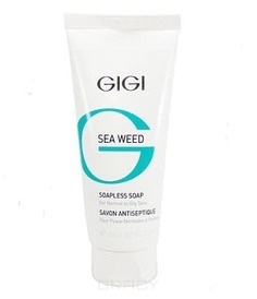 Domix, Мыло жидкое непенящееся Sea Weed Soapless Soap, 100 мл Gi Gi