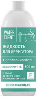 Domix, Концентрат 1:5 Жидкость для ирригатора Фитокомплекс со фтором Waterdent, 500 мл Global White