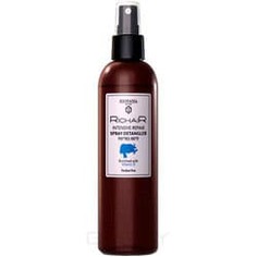 Domix, Спрей-кондиционер Активное восстановление с витамином Е RicHair Intensive Repair, 250 мл Egomania